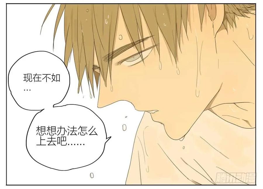 19天 梯子 第6页