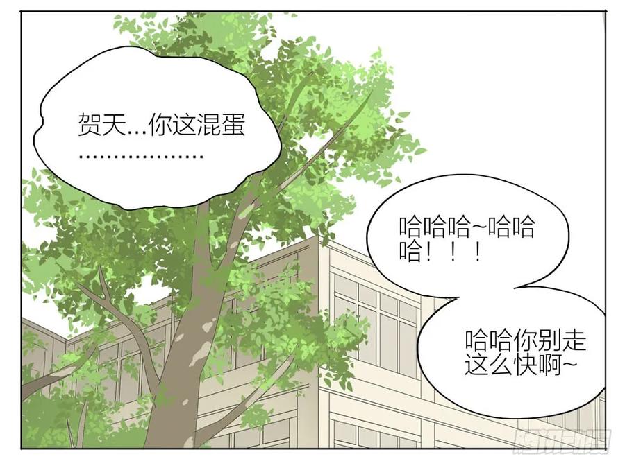 19天 猫怎么叫 第4页