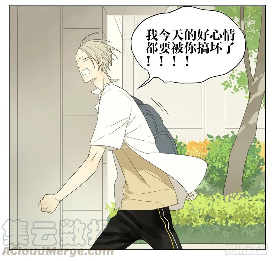 19天 猫怎么叫 第5页