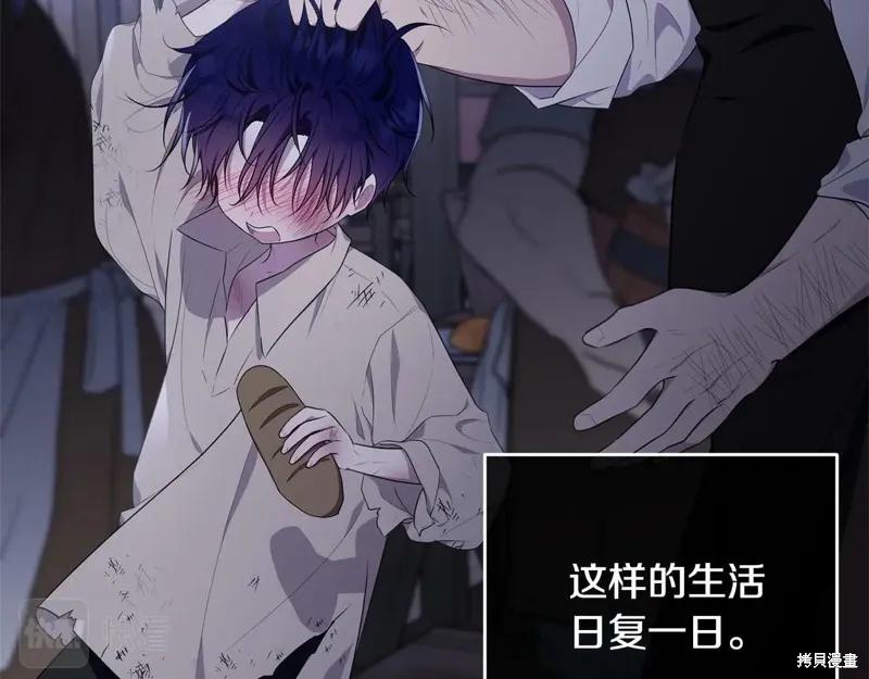 《明明是冷美人小姐却变成了忠犬大少爷》第95话 第175页