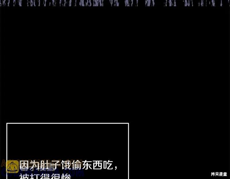 《明明是冷美人小姐却变成了忠犬大少爷》第95话 第173页
