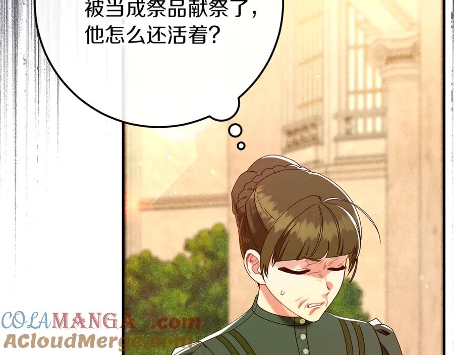 不幸的骑士，请和姐姐恋爱吧 - 第52话 假皇太子 - 第229张图