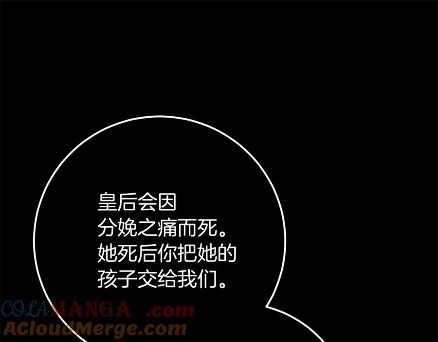 不幸的骑士，请和姐姐恋爱吧 - 第52话 假皇太子 - 第221张图