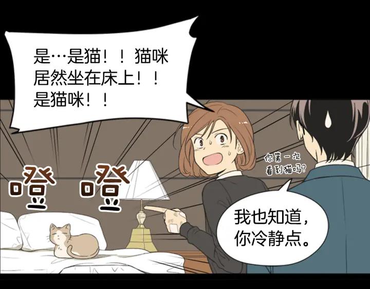 《不能恋爱的房间》第61话 土豪养猫法 第14页