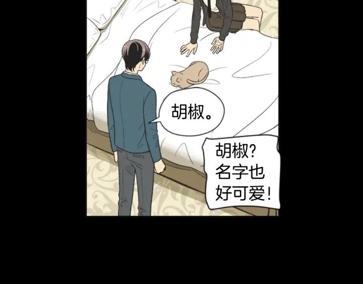 《不能恋爱的房间》第61话 土豪养猫法 第17页