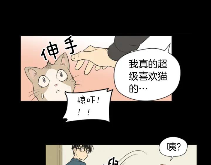 《不能恋爱的房间》第61话 土豪养猫法 第18页
