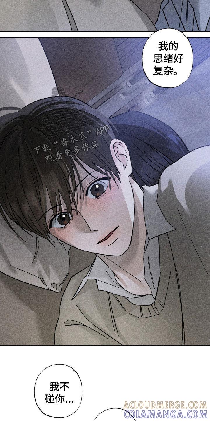 《特写爱意》第31章：肆意妄为 第15页