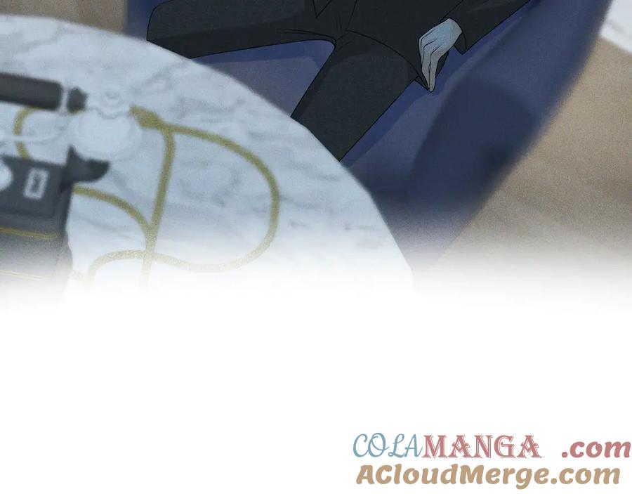 《公爵小姐和逃犯闪婚了》008 胜利之夜 第117页