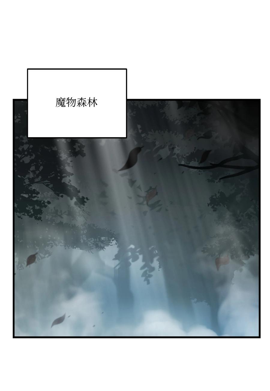 《8级魔法师的重生》118 遭遇伊瑟兰 第26页