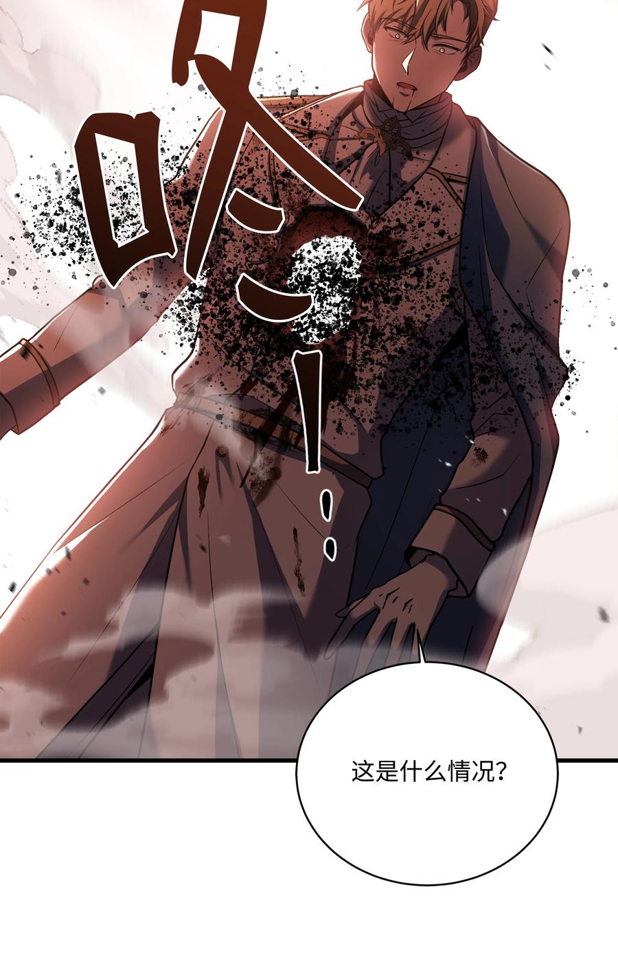 《8级魔法师的重生》148 罗的召唤 第11页