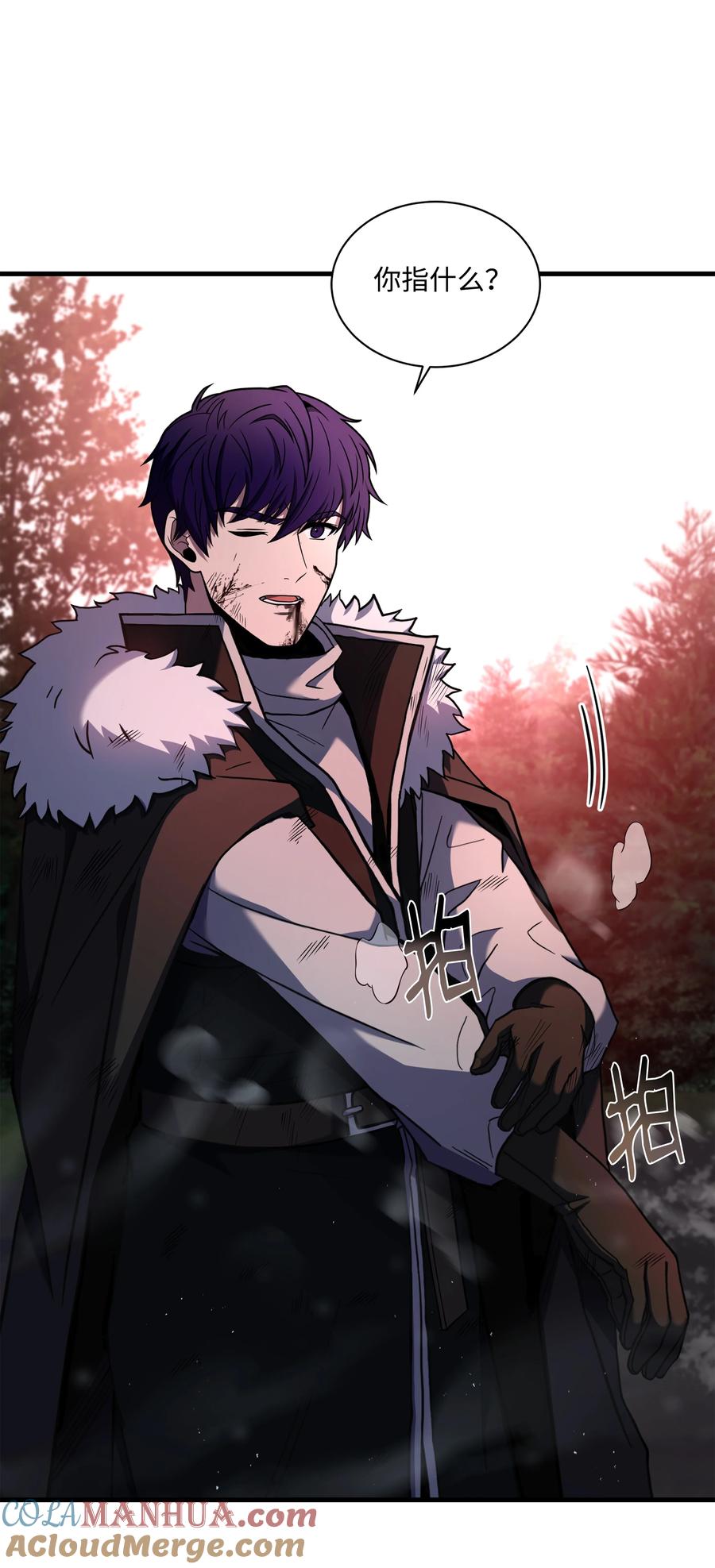 《8级魔法师的重生》148 罗的召唤 第13页