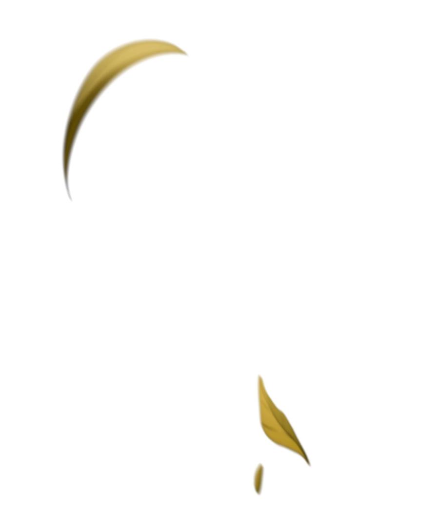 《8级魔法师的重生》157 回到过去 第110页