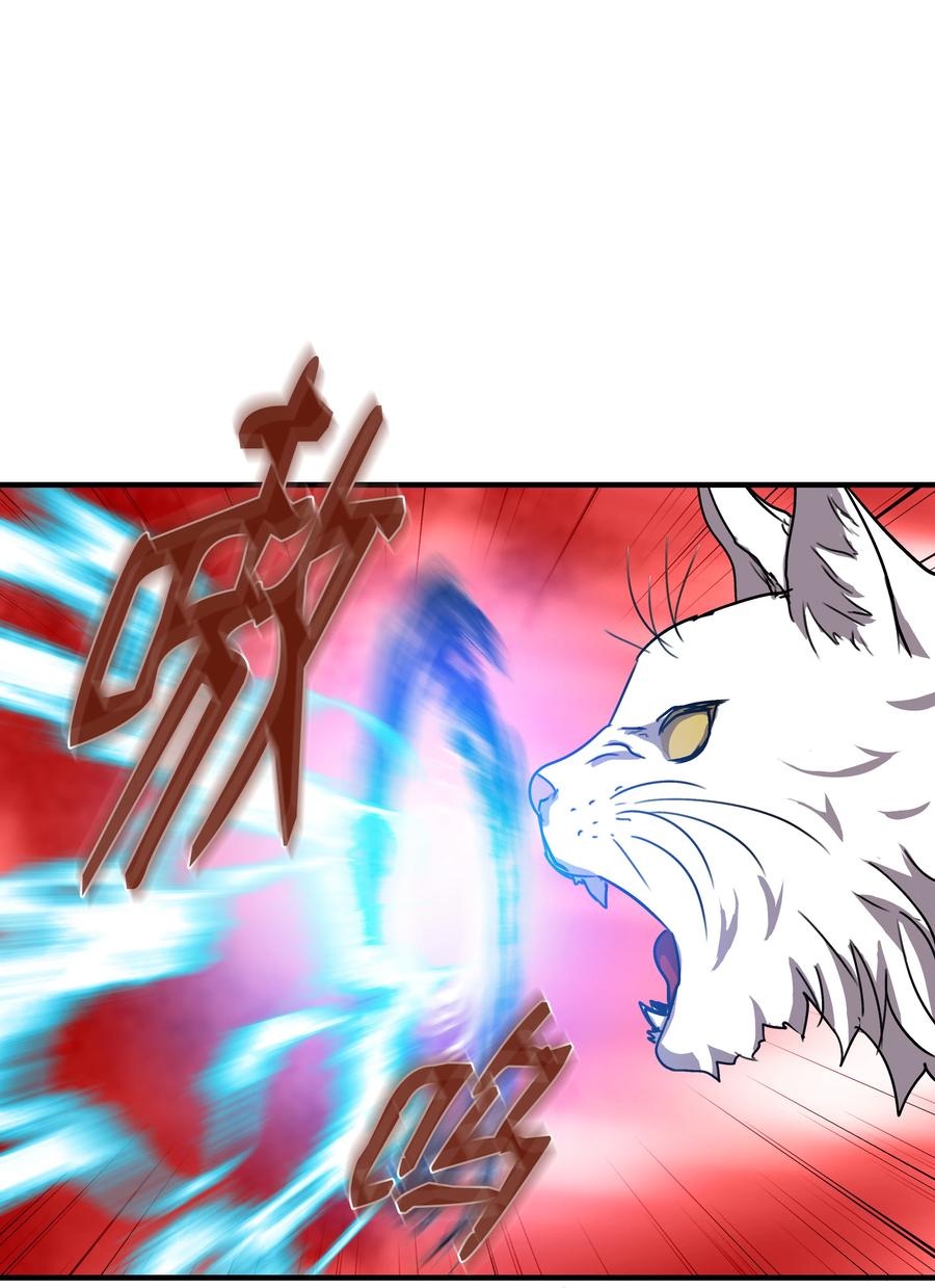 《8级魔法师的重生》34 好用的宠物 第79页