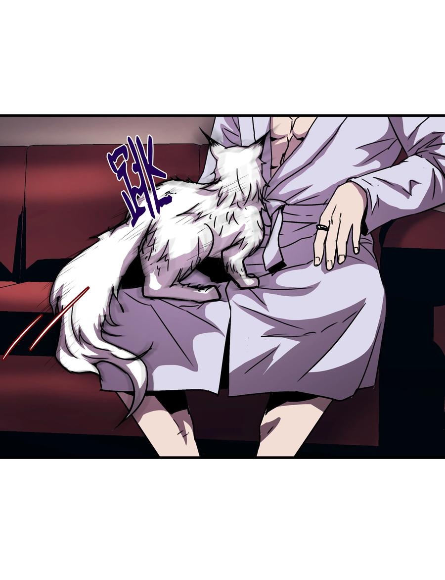 《8级魔法师的重生》34 好用的宠物 第33页