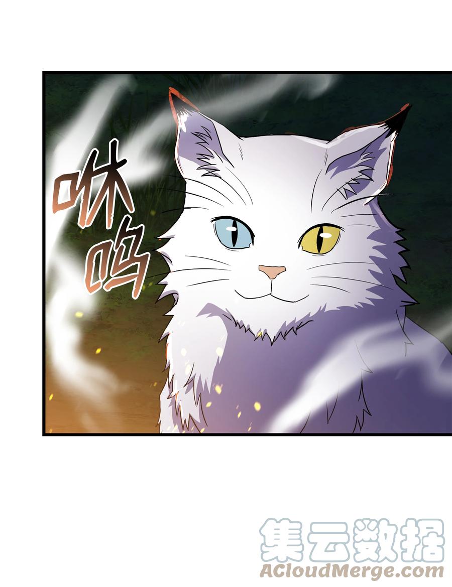 《8级魔法师的重生》70 格杀勿论 第45页