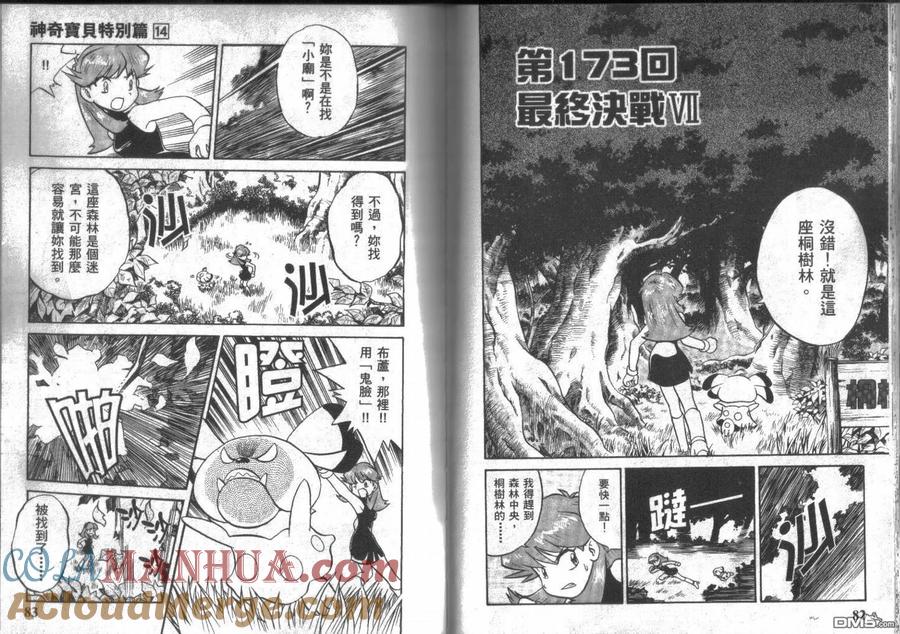 神奇宝贝特別篇 - 第14卷 - 第41张图