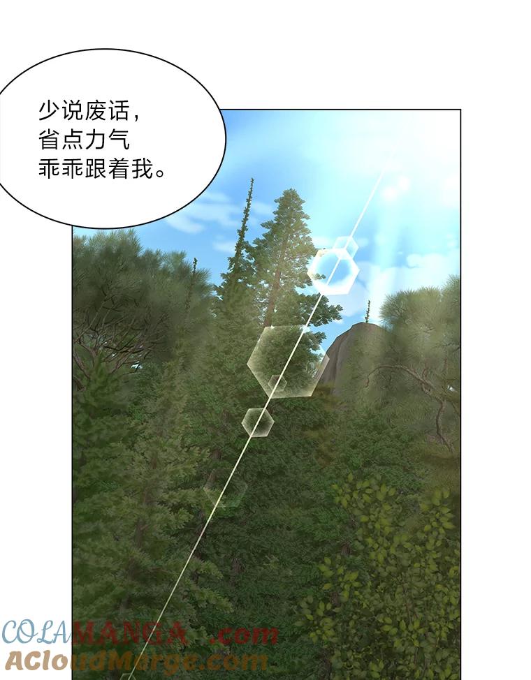 《魅惑狐狸》51.以爱之名 第40页