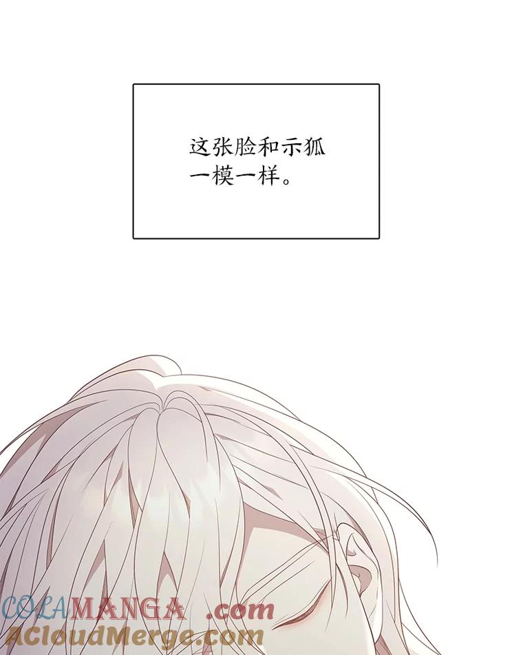 《魅惑狐狸》52.病重的原因 第53页