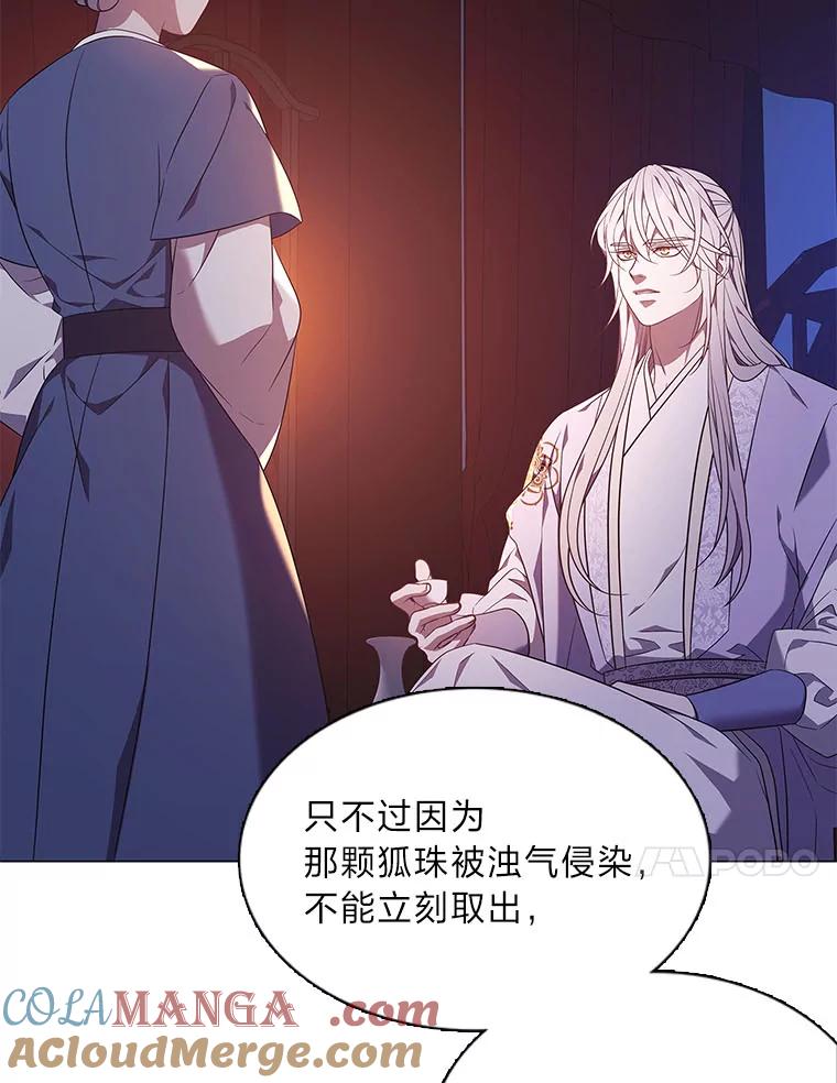 《魅惑狐狸》54.狐珠 第25页