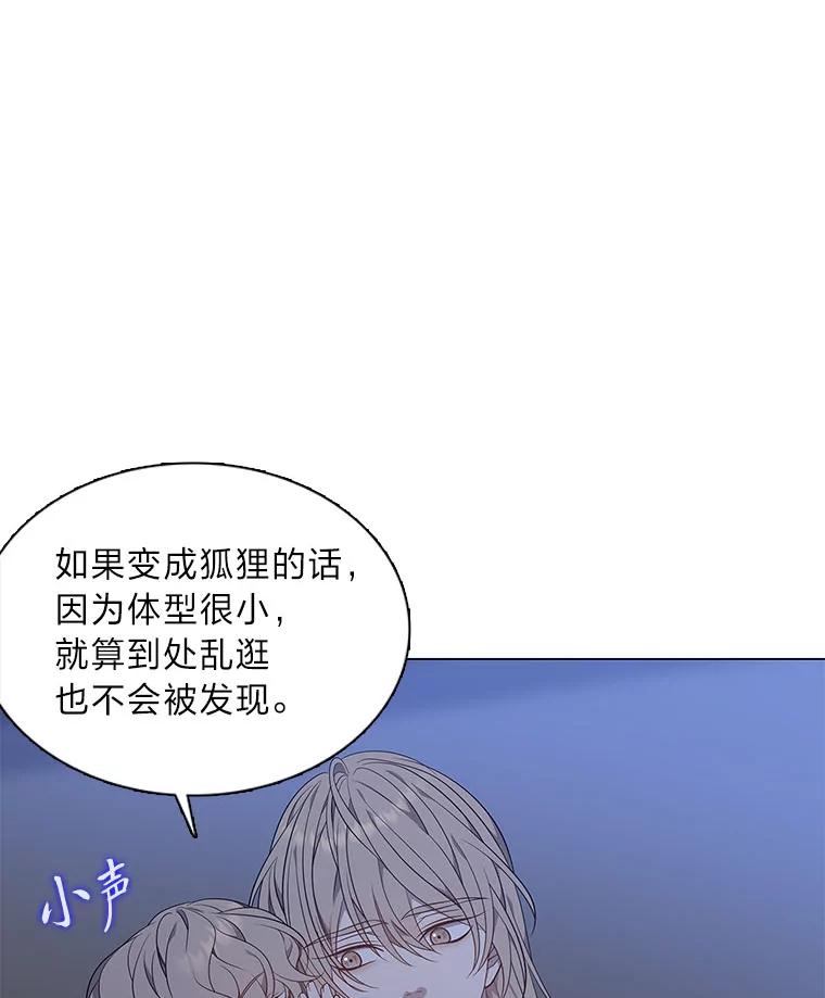 《魅惑狐狸》55.雪狐与修罗 第78页