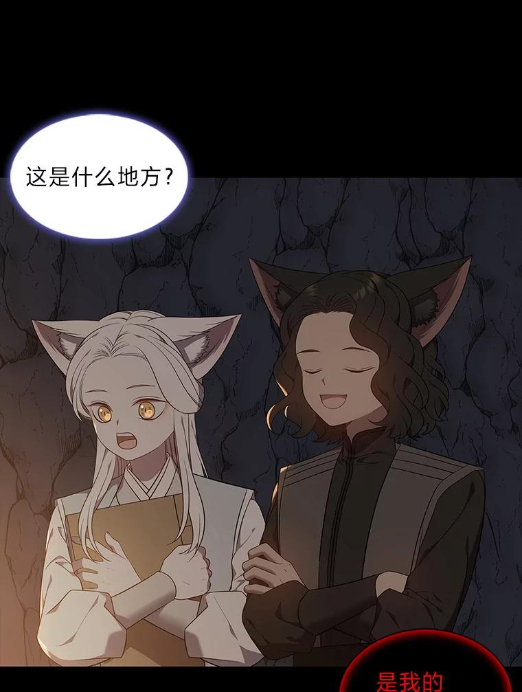 《魅惑狐狸》56.秘密基地 第111页