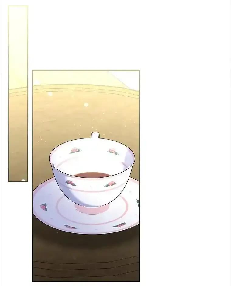 《我要和女主的妹控哥哥离婚》58.奇怪的直觉 第74页