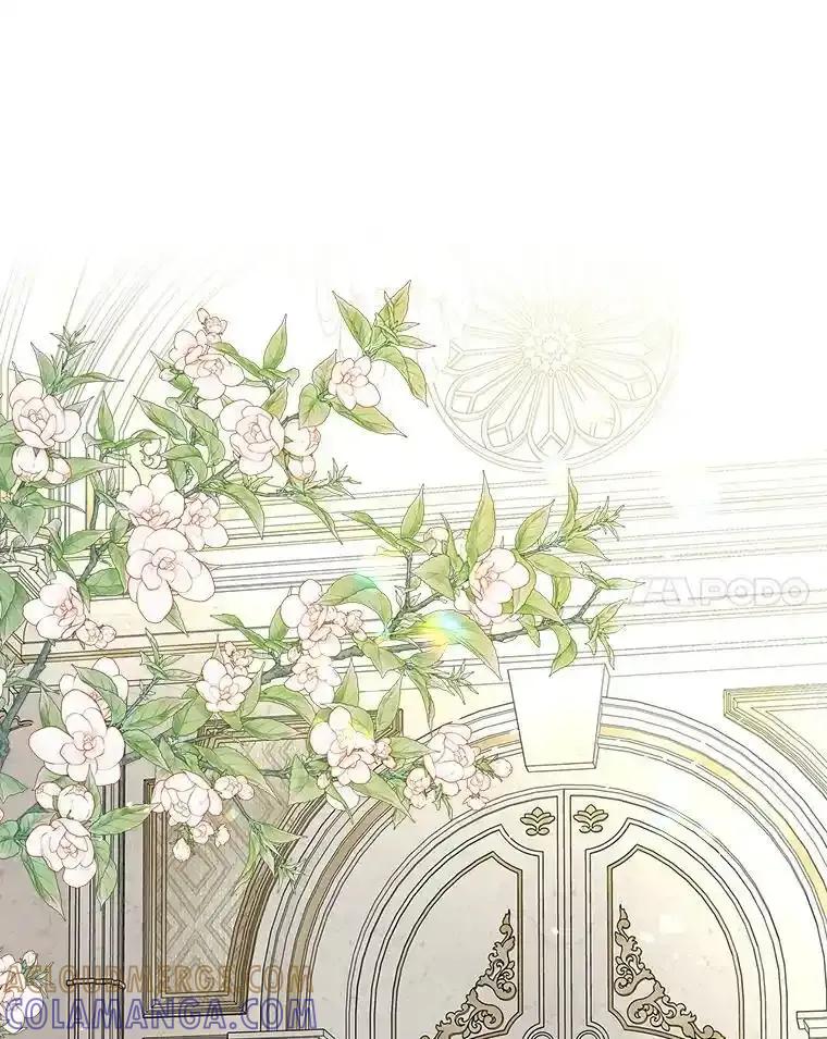 《我要和女主的妹控哥哥离婚》59.早有准备 第41页