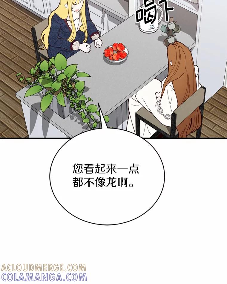 《白痴阿贝拉》44.噩梦 第73页