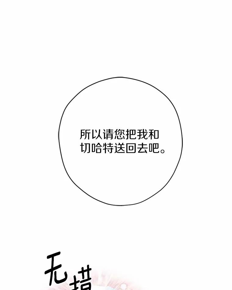 《白痴阿贝拉》46.回去 第47页