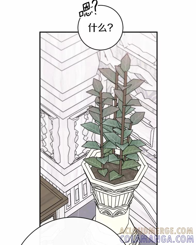 《白痴阿贝拉》50.通缉 第73页