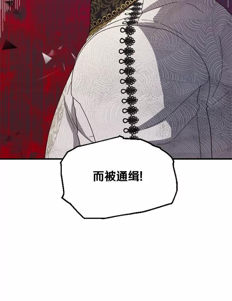 《白痴阿贝拉》50.通缉 第116页