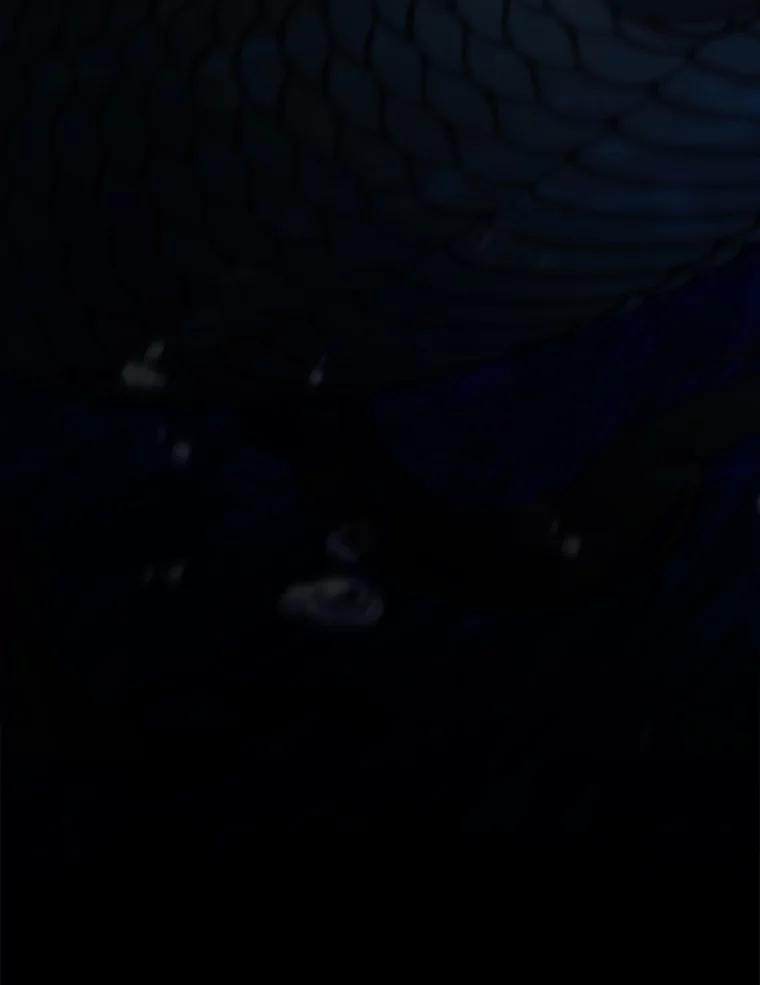 《DragonLady龙女》50.遇到海盗 第139页