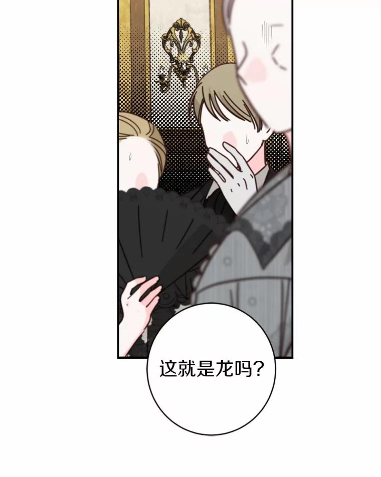 《白痴阿贝拉》52.登基 第58页