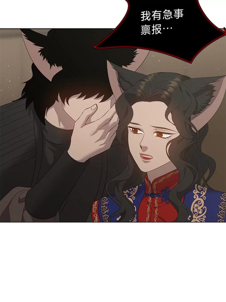 《魅惑狐狸》85.误会 第147页