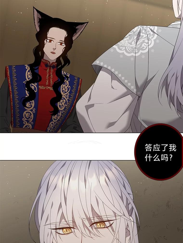 《魅惑狐狸》85.误会 第79页
