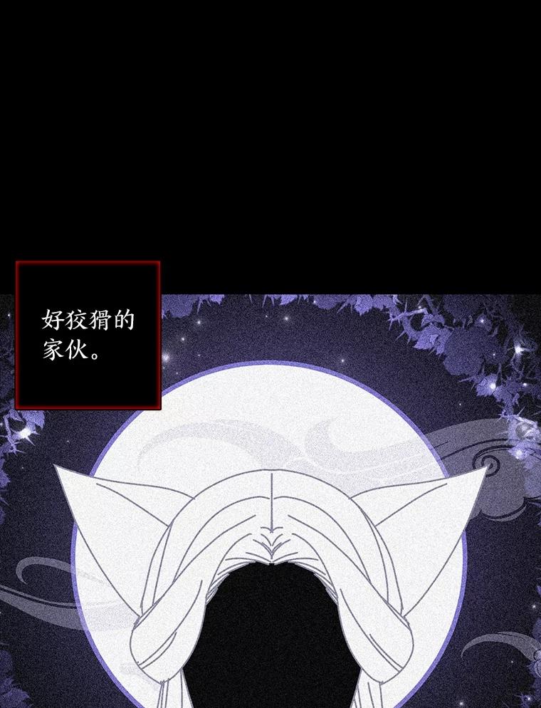《魅惑狐狸》85.误会 第126页