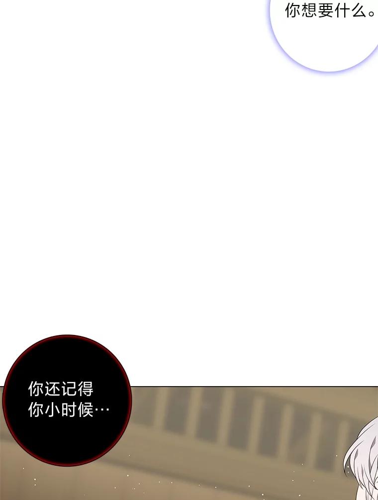 《魅惑狐狸》85.误会 第78页
