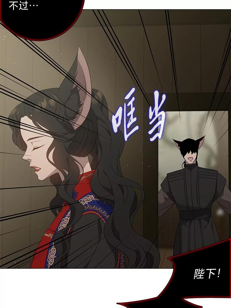 《魅惑狐狸》85.误会 第146页