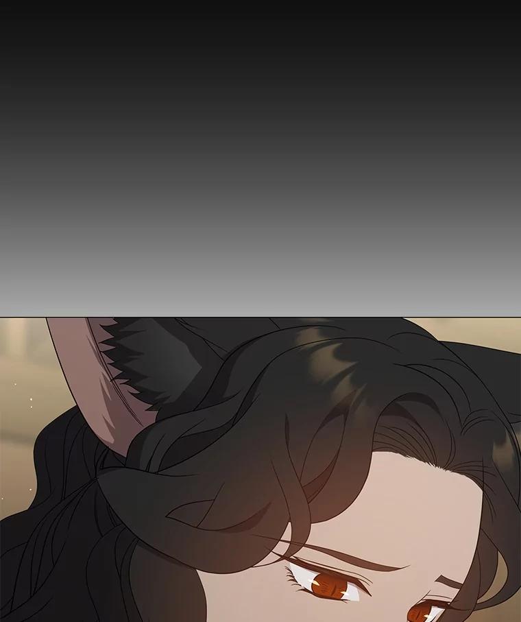 《魅惑狐狸》85.误会 第142页