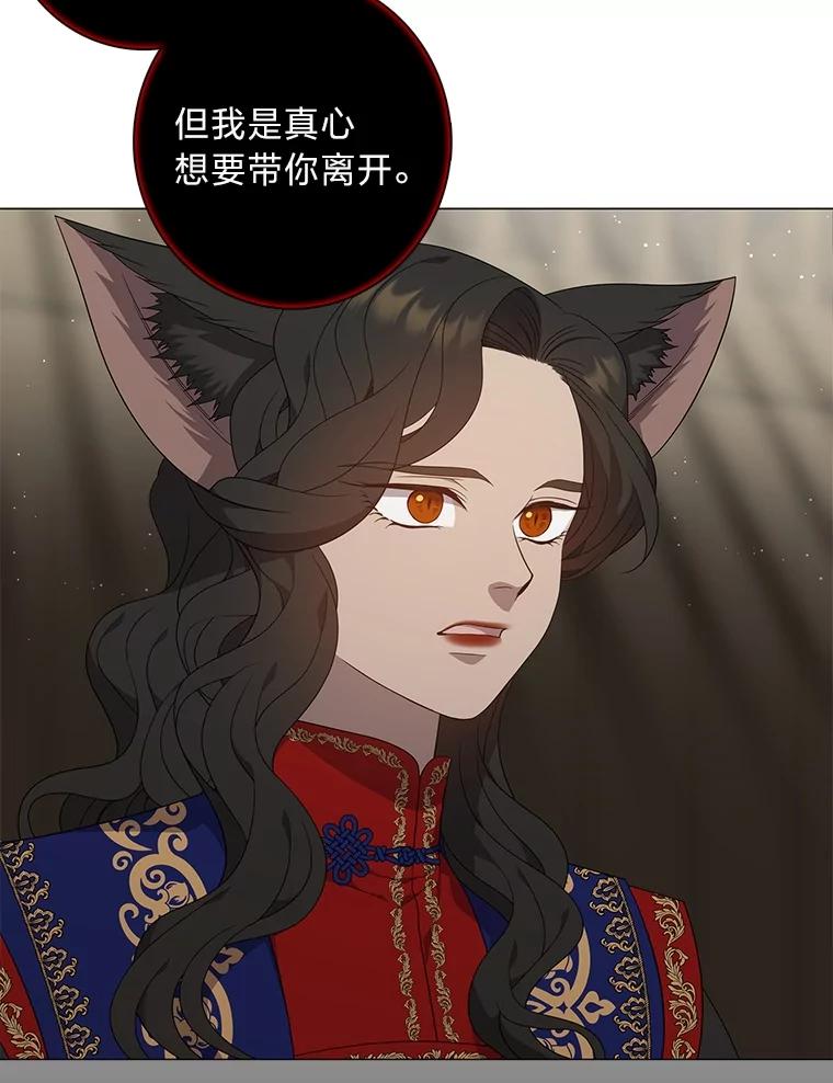 《魅惑狐狸》85.误会 第87页