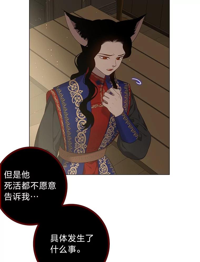 《魅惑狐狸》86.最后的留信 第22页