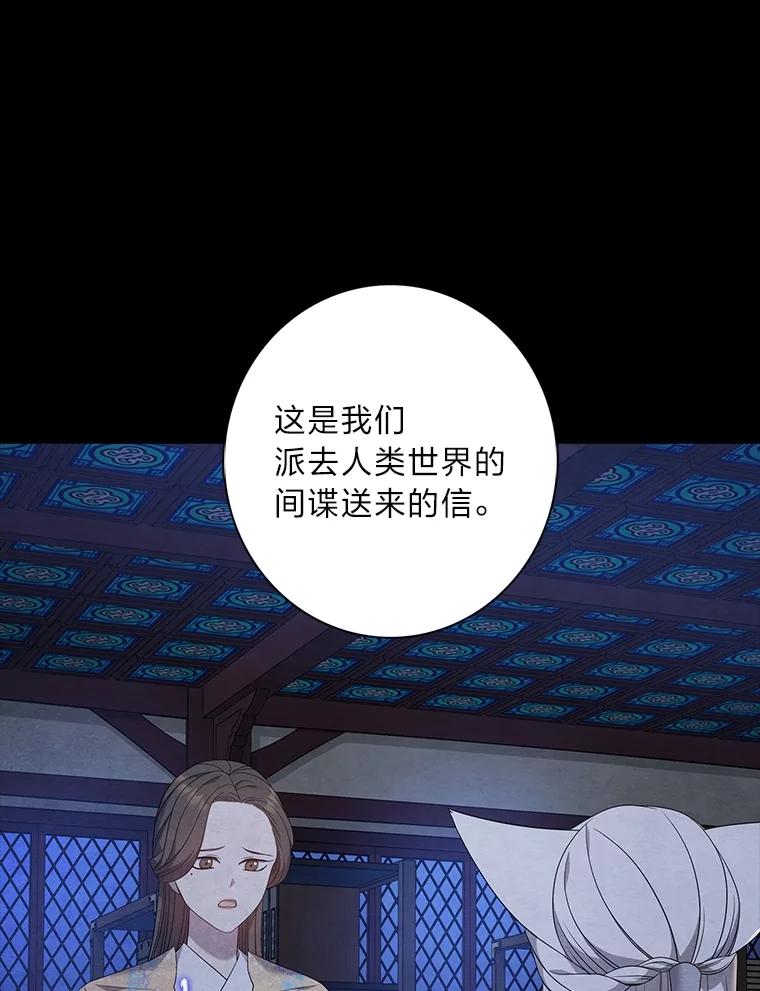 《魅惑狐狸》86.最后的留信 第118页