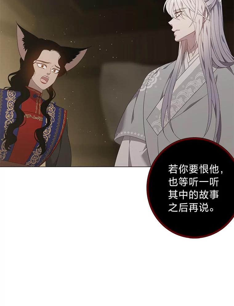 《魅惑狐狸》86.最后的留信 第24页