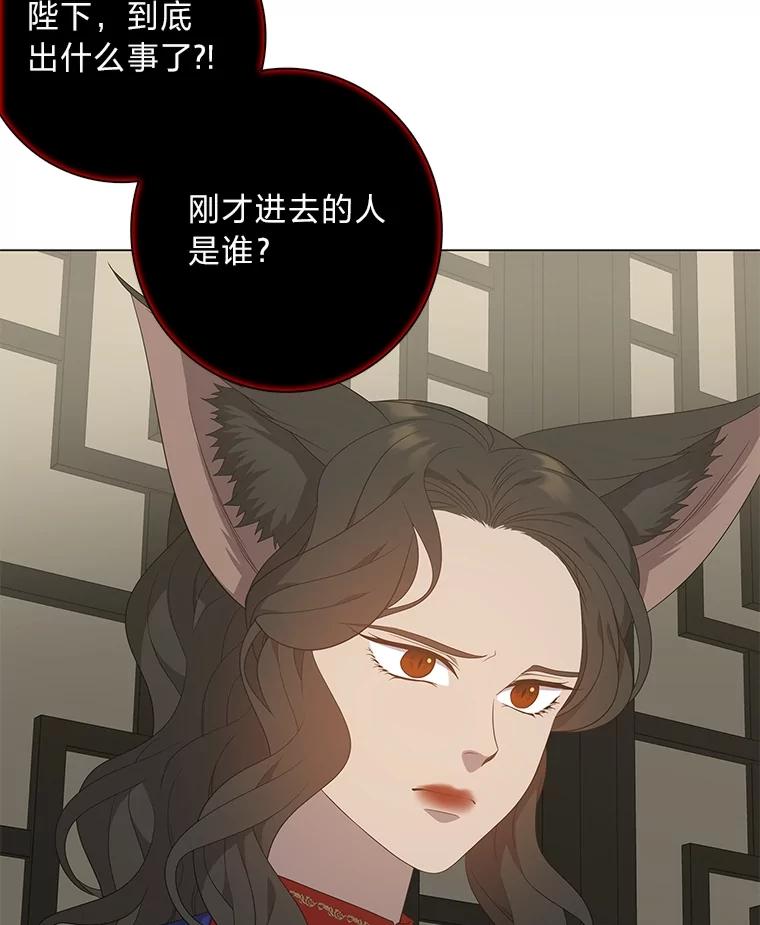 《魅惑狐狸》86.最后的留信 第83页