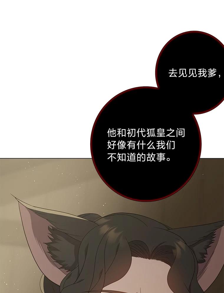 《魅惑狐狸》86.最后的留信 第19页