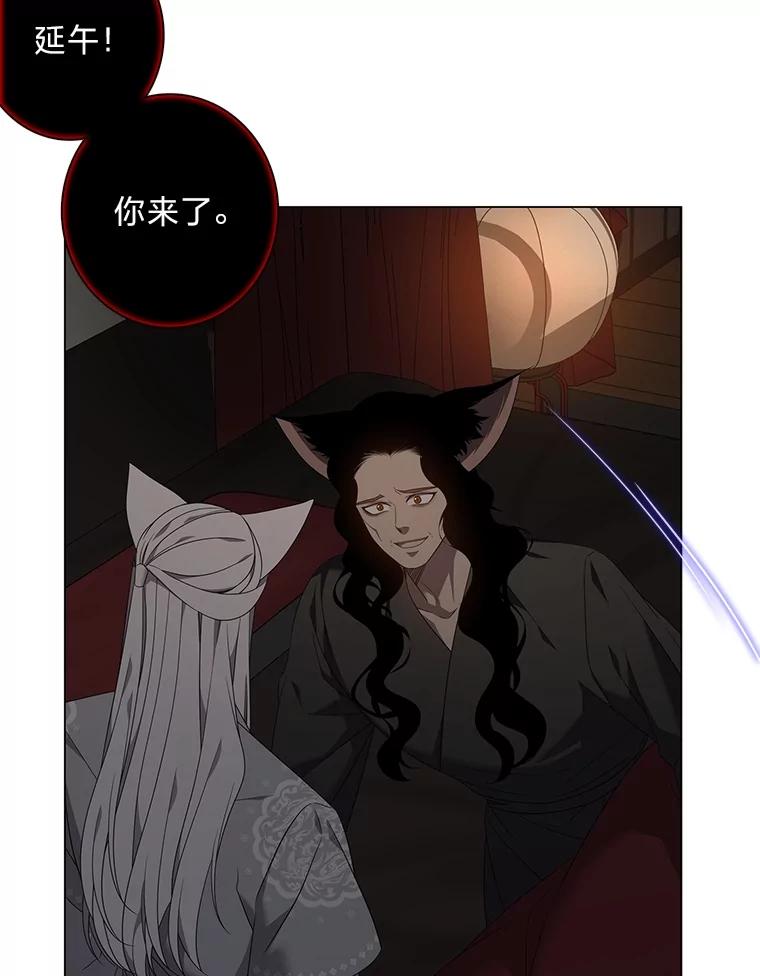 《魅惑狐狸》86.最后的留信 第47页