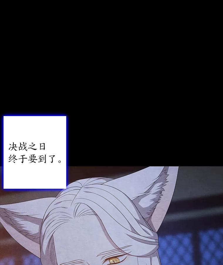 《魅惑狐狸》86.最后的留信 第111页