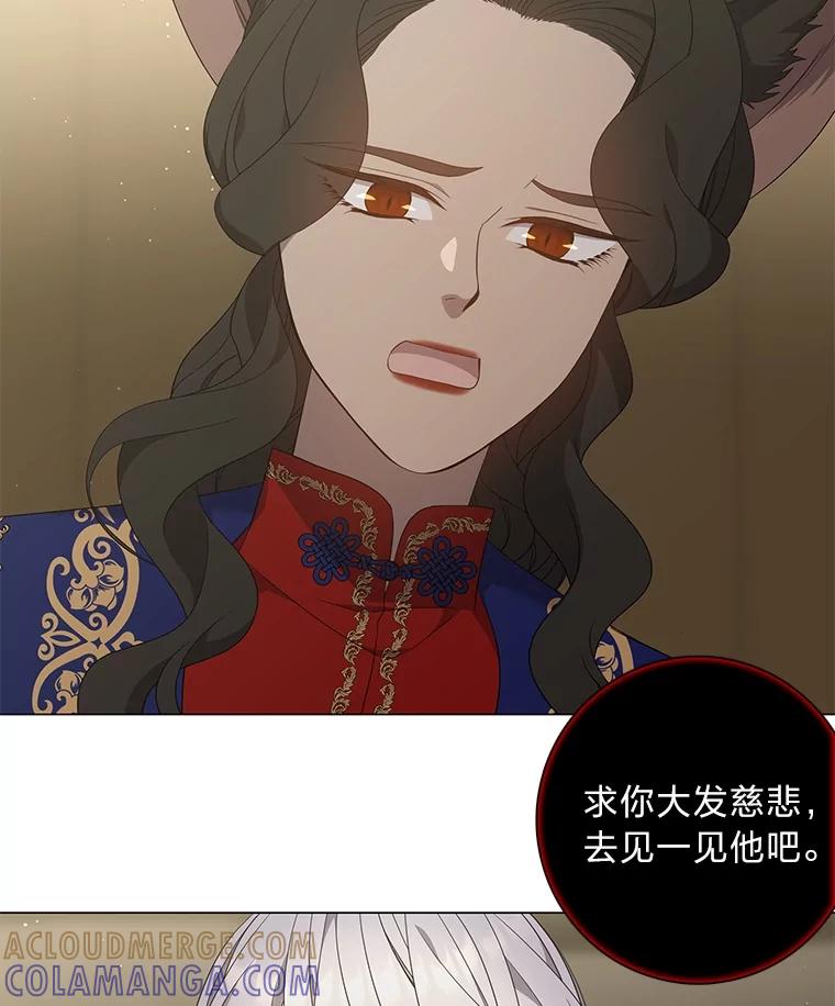 《魅惑狐狸》86.最后的留信 第9页