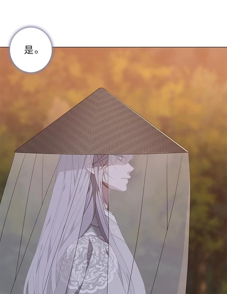 《魅惑狐狸》87.真假示狐 第146页