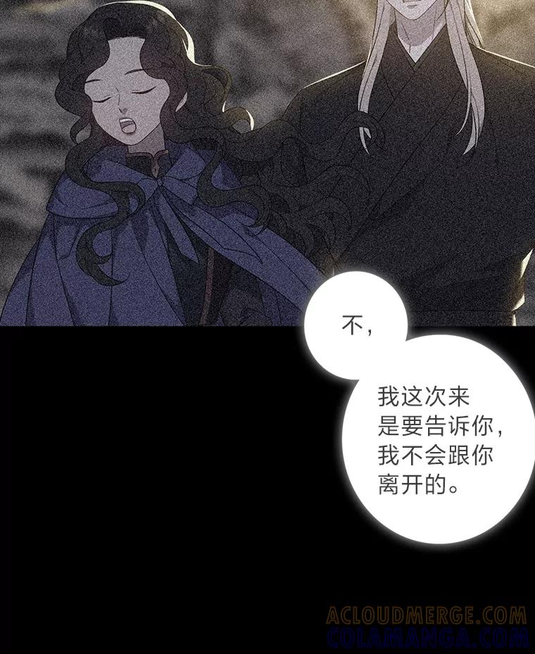《魅惑狐狸》87.真假示狐 第133页